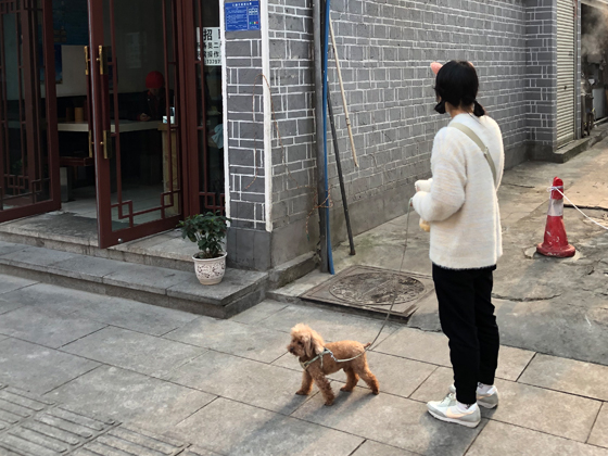 地方都市にもペットを飼う若者が増えつつある（写真：湖北省・襄陽）