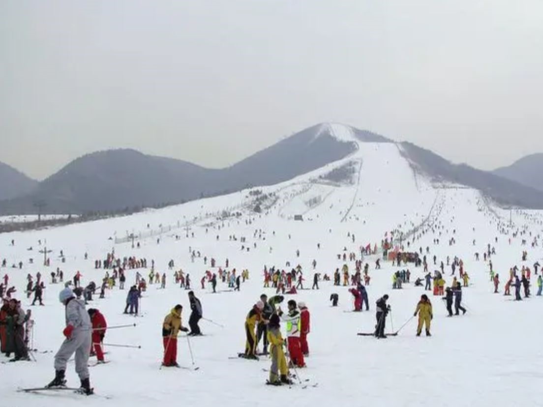 【統計データ】中国スキー人口（2023年）
