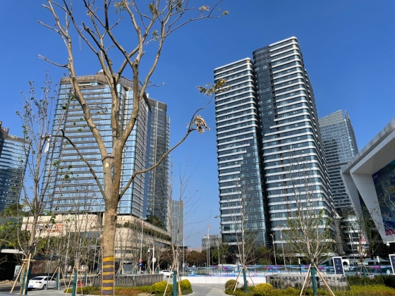 【統計データ】2025年中国不動産市場の基本状況②〜新築商品用不動産の販売および在庫状況