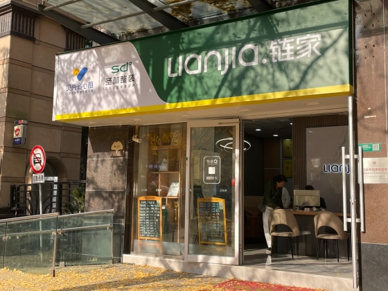 【統計データ】2025年中国不動産市場の基本状況③〜不動産開発企業の資金調達状況