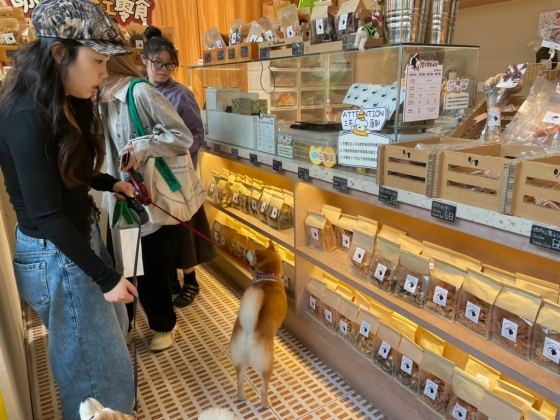 「猫経済」（ネコノミクス）が成長を牽引 ペットの“家族化”で拡大続く中国ペット市場