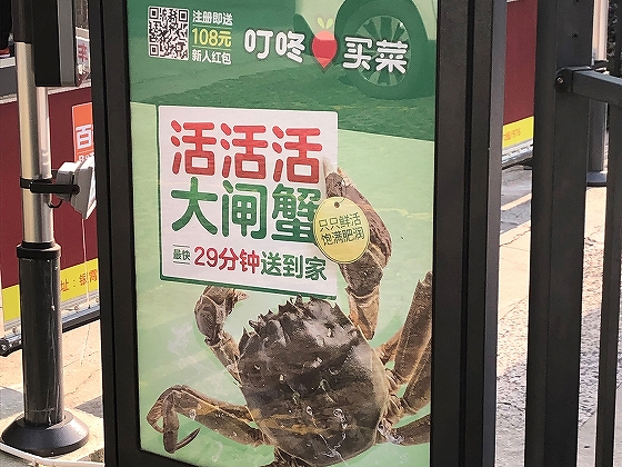 叮咚買菜の広告